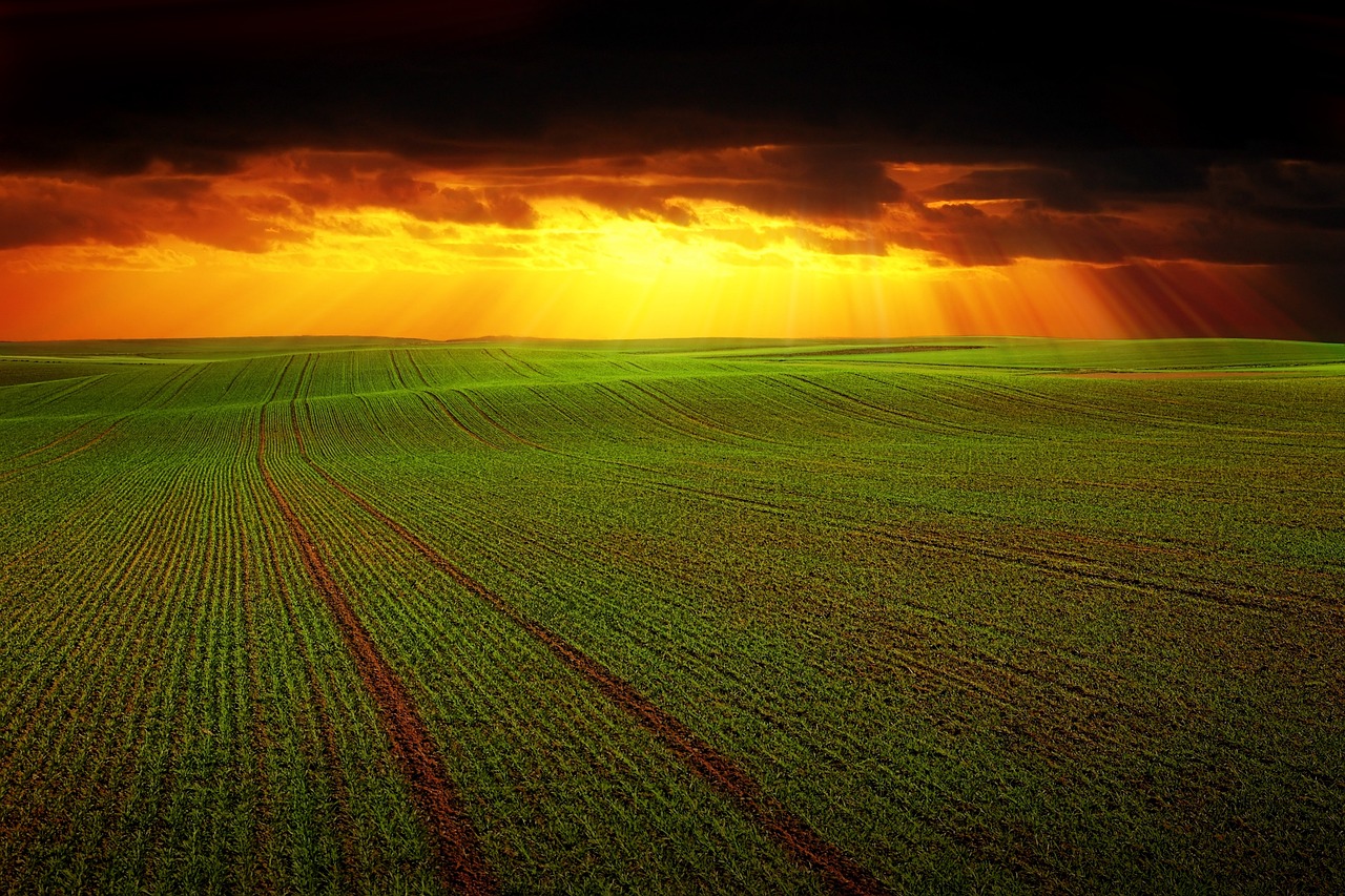 What is Regenerative Agriculture?